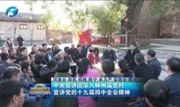 林州爆料新闻最新,揭秘事件背后惊人真相